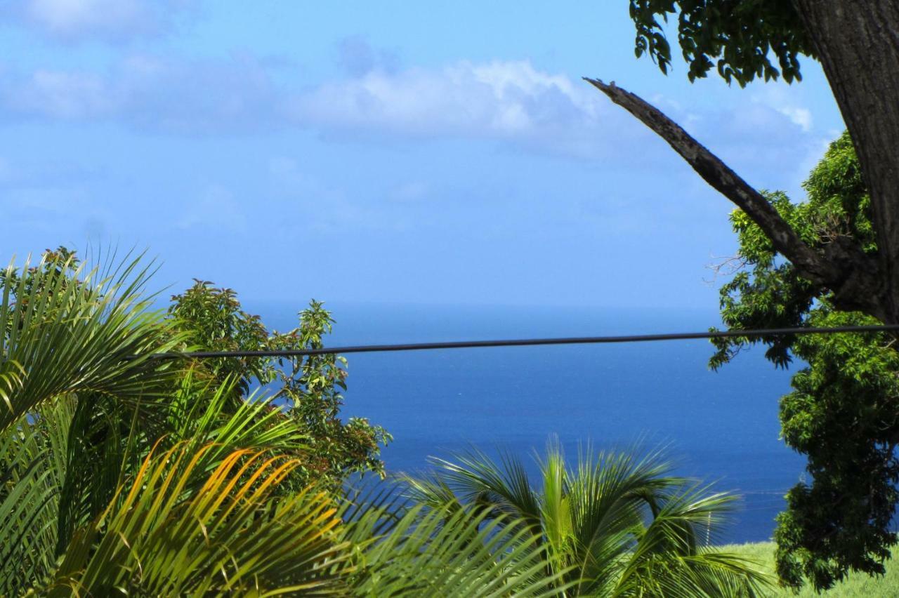Or Bleu-Bungalow Volcan Soufriere-Vue Sur Mer Saint-Claude Eksteriør billede