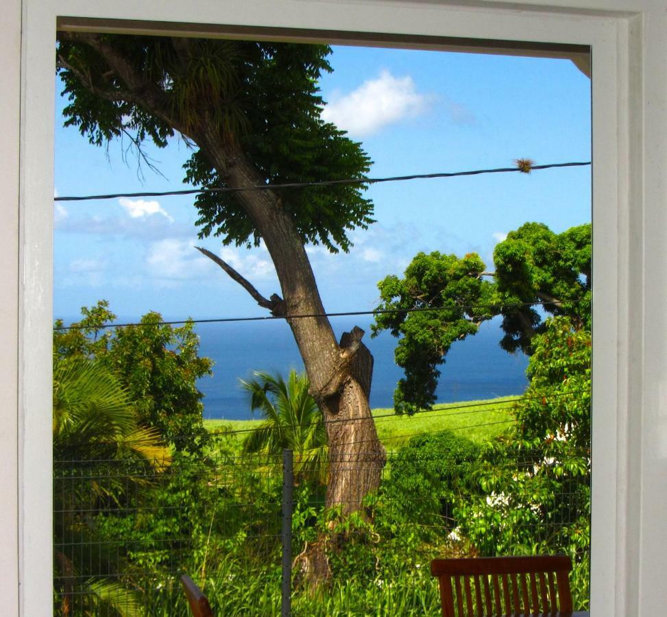 Or Bleu-Bungalow Volcan Soufriere-Vue Sur Mer Saint-Claude Eksteriør billede